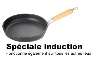 Ø 20 cm poele induction